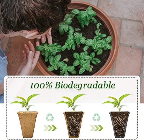 10 Pièces Mini Serre pour Plantes,120 Trous Bac à Semis Biodegradable Pot,Boîte de Culture avec Couvercle et Ventilation Durables,Plateaux de semis Kit de démarrage,Plateau de Semis Hydratant