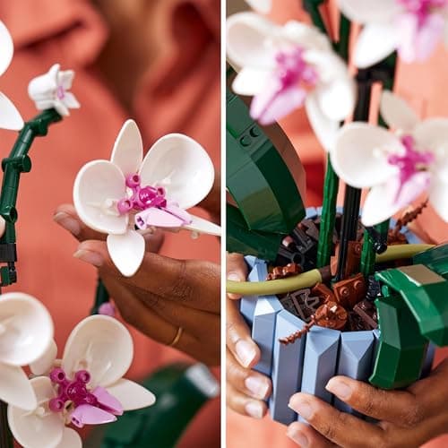 LEGO Icons L’Orchidée - Plantes ou Fleurs Artificielles d'Intérieur pour Décoration de Maison, Loisirs Créatifs pour Adultes, Collection Botanique 10311