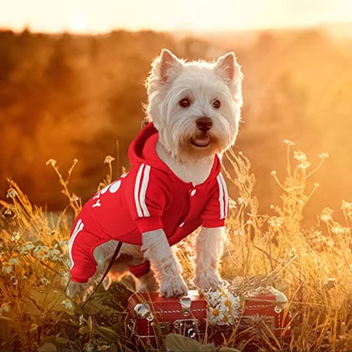 Dolahovy Sweat à Capuche pour Chien Vêtements pour Animaux de Compagnie Pulls pour Chiots Automne Wiver Polaire Chiens Veste Manteaux pour Chihuahua Teddy Petits Chiens Taille Moyenne Chats