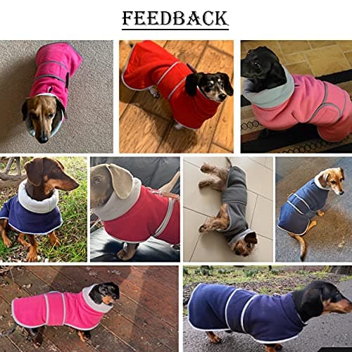Manteau pour teckel - Manteau en polaire pour chien - En hiver - Avec fermeture Velcro et bordure réfléchissante haute visibilité - Bleu marine - XS