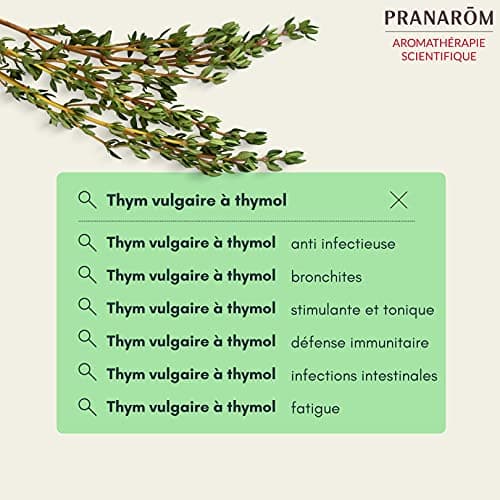 Pranarôm Huile Essentielle Thym Vulgaire à Thymol Thymus vulgaris ct thymol Sommité Fleurie HECT 10 ml
