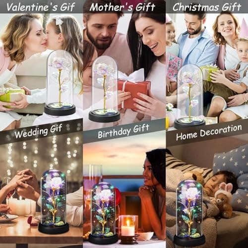 ELEUTH Rose Eternelle sous Cloche, La Belle et la Bête, Rose Fleur de Noël, Dôme Verre Rose Éternelle avec Lumière LED, Cadeau pour la Fête des Mères Saint-Valentin Fête Anniversaire Mariage