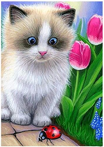 Showker 5D Kit Complet de Broderie Diamant Chat Fleur - Peinture Diamant Animaux Plantes Rond Point de Croix - Décoration Murale pour Chambre, DIY Diamond Painting Maison 30x40cm