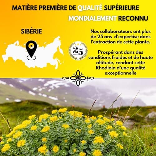 RHODIOLA ROSEA | 2X Plus D'actif | 5% Rosavine + 1,8% Salidroside | Qualité Unique Rhodiolife® | Performance | Adaptogène | Bien être Psychologique | Anti-stress |