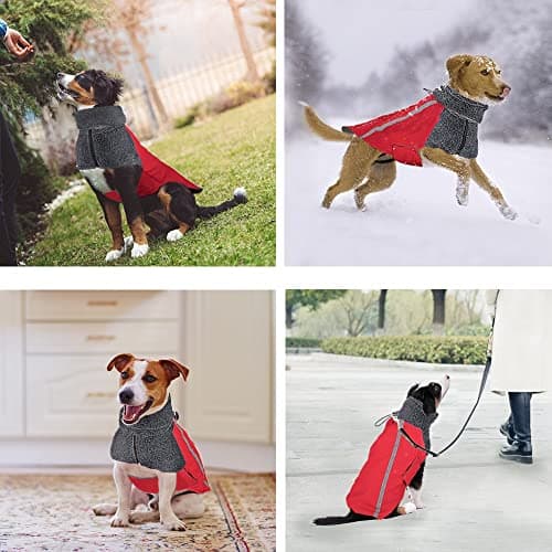 SlowTon Manteau d'hiver de Chien, Chaud Manteau Chien Hiver, Doublée en Laine Polaire Chaude Manteau Chien avec Col Roulé écharpe Gilet réfléchissant Ajustable Gilet imperméable pour Chiot