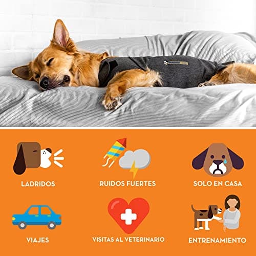 ThunderShirt Gilet Relaxant pour Chiens. Rassure Lors de Situations stressantes. Méthode Douce et Naturelle. Existe en 5 Tailles. Gris.