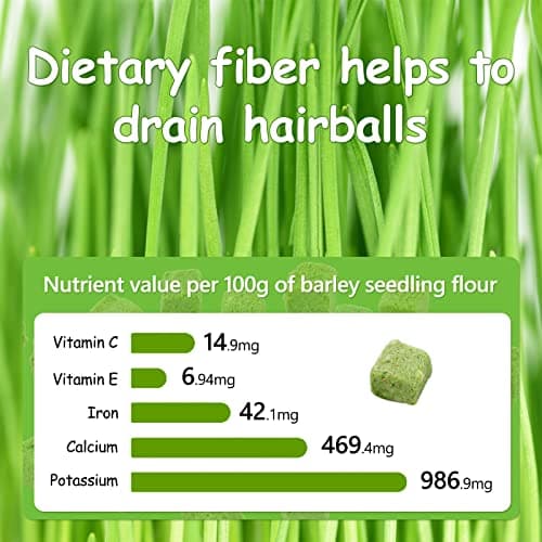 Collations pour Chats Herbe à Chat, 60g Snack pour Chat Lyophilisé pour Le Nettoyage des Dents