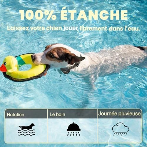 BULIFE Collier de Dressage pour Chiens, 1-50 Niveaux de Vibration, Portée 3000m avec Télécommande, étanche IPX67, 3 Modes : Super Vibration/Bip/Vibration,Rechargeable, pour Chiens de 3 à 55kg (1)