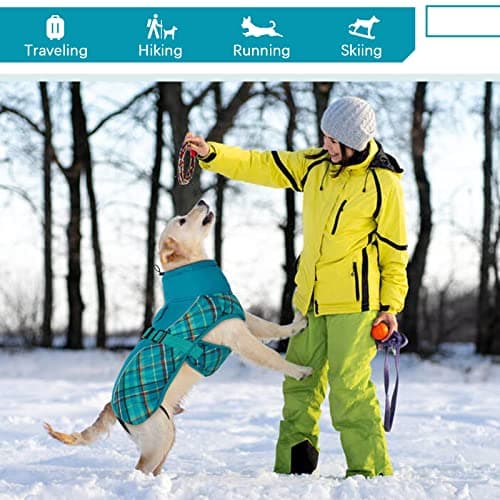 Manteau d'hiver pour Chien, Veste ImperméAble pour Chien, Veste d'hiver Chaude avec Doublure en Polaire, Manteau RéFlecteur Ajustable Et Confortable avec Trou pour Harnais pour Petits Et Moyens Chien