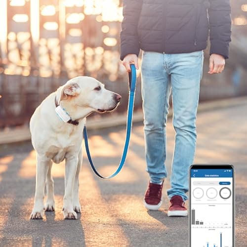 Collier GPS pour Chien sans Abonnement,Traceur GPS Chien avec Clôture de Sécurité Suivi en Temps réel de Compagnie étanche Alarme Sonore et Lumineuse TK911Pro