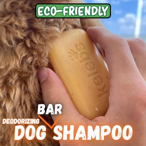 Kelebs Shampoing Chien Solide Naturel pour Anti Perte De Poil | Fortifie Le sous-Poil, pour Poil Long Et Court, À l'huile De Coco Et Beurre De Karité | Bio pour (Anti Odeur)