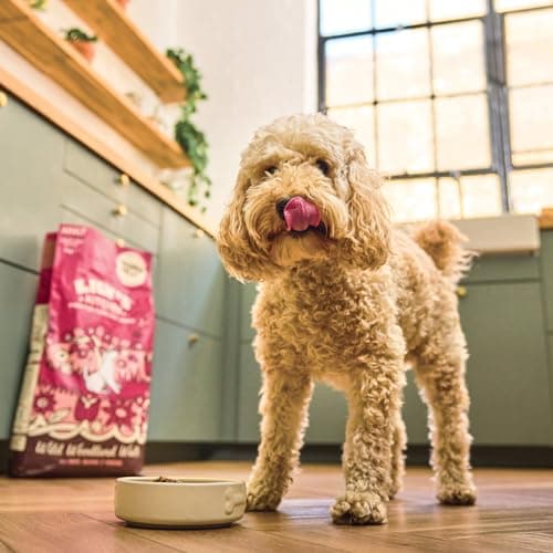 Lily’s Kitchen Fabriqué à partir d’ingrédients naturels Adulte Aliments secs pour chiens Saumon et chevreuil Recette sans céréales 7kg