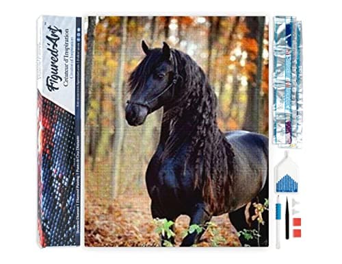 Figured’Art Diamond Painting Broderie Diamant 40x50cm Toile Entière Roulée avec Strass Perles Carrés - Jument noire - Kit Complet Cheval 5D DIY Activité Manuelle Loisirs Créatifs Adultes