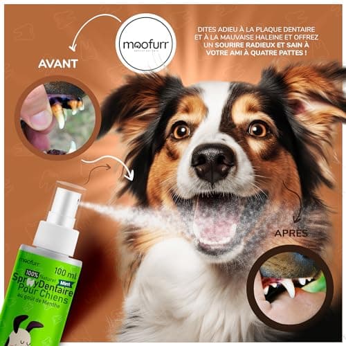 Moofurr Dentifrice Chien Spray 100ml - pour Le Detartrage Dentaire des Chiens, Anti-Tartre Dentaire, Rafraichissant pour la Mauvaise Haleine du Chien - Hygiene et Sante Naturelle du Chien a la Menthe