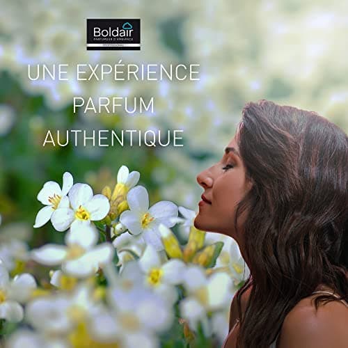 BOLDAIR - Aérosol parfumant Karité jasmin - Elimine les mauvaises odeurs - Parfume agréablement - Forte rémanence - Pulvérisation sèche - 750 ml - Fabrication française