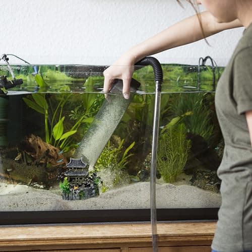Décoration d'aquarium - Décoration d'aquarium - Château - Décoration d'aquarium - Château - Décoration classique - Résine - Accessoire d'aquarium pour poissons, crevettes, tortue