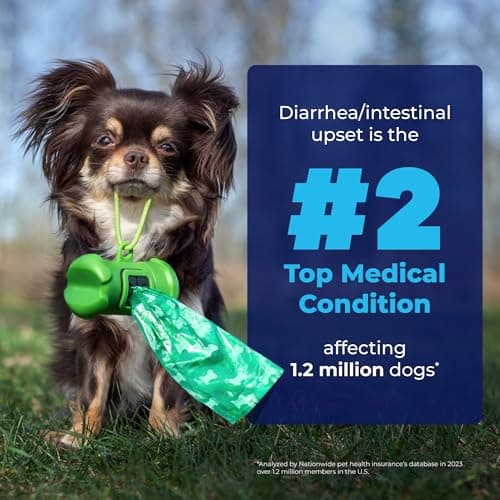 Glandex Supplément de Fibres de anale pour Chien et Chat avec Citrouille, enzymes digestives et probiotiques - Intestin et Digestion sains - Boot The Scoot - par Vetnique Lab (70g)