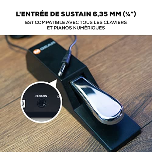 M-AUDIO SP-2 Pedale de Sustain Universelle