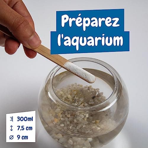 Science4you Artemia Créatures Aquatiques (Famille de Triops) Kit - Jouet Experiences scientifiques Enfants 5 6 7 8+ Ans - Créer Un écosystème pour Les Dragons d'eau Animaux Marins avec Petit Aquarium