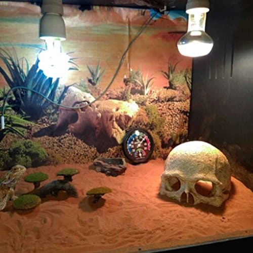 Morza Environnements Exotiques Crâne Aquarium Ornement Terrarium Reptile Fish Tank Décoration
