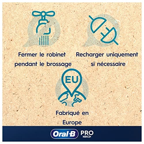 Oral-B Pro Kids Brosse à Dents Électrique Enfant, Reine des Neiges Disney, 1 Brossette Brossage Doux, 1 Étui Voyage, Minuteur et Vibrations, Batterie Rechargeable, 4 Stickers, 3 Ans et Plus