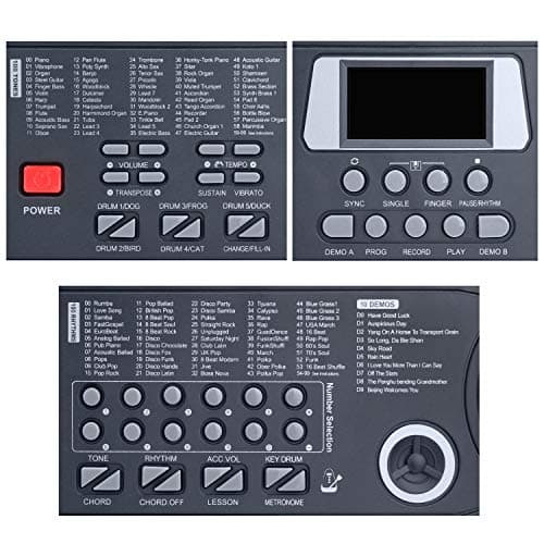 Hricane Clavier électronique 61 touches pour enfants, l'instrument de piano électronique portable pour débutant avec microphone, pupitre, autocollant (noir)