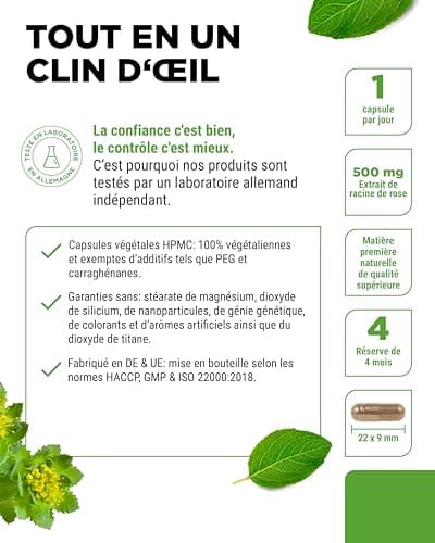 Rhodiola Rosea -120 gélules de 500 mg - Véritable Extrait -Matière première de qualité supérieure: 3% de rosavine & 1% de salidroside -100% d'extrait de racine de rose musquée - Hautement dosé - Vegan
