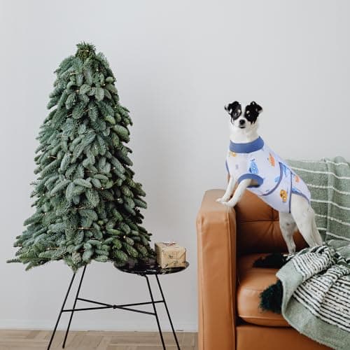Kuoser Combinaison de Récupération Chirurgicale pour Chiens et Chats, Anti-Léchage Chiot Chemise de Récupération pour Plaies Abdominales, Col en E Alternative pour Petite Moyenne Grande Chien