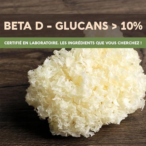 Gélules de champignon trémelle fucus - Complément ultra-concentré pour avoir une peau hydratée, la beauté et une mémoire améliorée - 100% du corps fructifère - 120 gélules - Longevity Botanicals