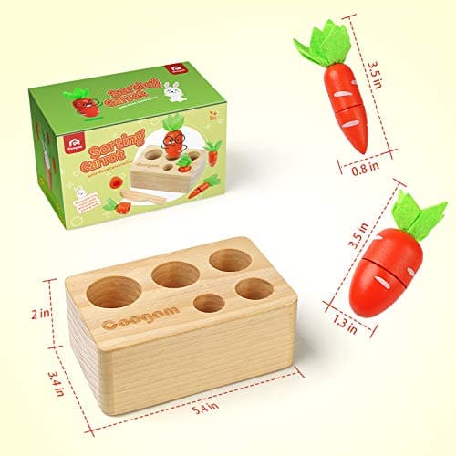 Coogam Jouet de tri de Carotte en Bois, trieur de Forme de Couleur Montessori Jeu d'association de récolte de Coupe pour la compétence motrice Fine des Tout-Petits, Apprentissage préscolaire éducatif