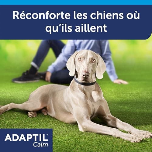 ADAPTIL Calm – Anti-stress pour chien – Collier Moyens et Grands Chiens – Taille M/L