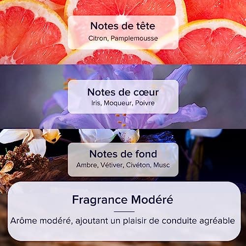 Recharge de Désodorisant de Voiture Ceeniu CF9, Lot de 3, Longue Durée (6 Mois) Parfum Naturel Français