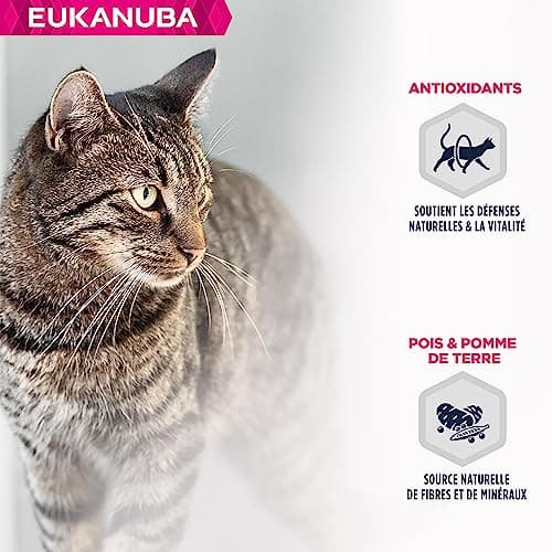 EUKANUBA Grain Free Croquettes pour Chat Senior - Riche en saumon - Apport en L-carnitine - Enrichie en taurine, Sans OGM, colorants, arômes artificiels - 10 kg