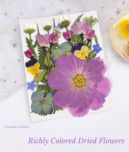 Gugxiom Fleurs Pressées Séchées pour Résine, 5 Sacs de 100 Fleurs Pressées, 5 Thèmes de Couleurs, Fleurs Sèches pour Nail Art, Résine, Conception de Bijoux DIY, Coques de (Type 2)