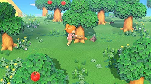 Animal Crossing : New Horizons pour Nintendo Switch