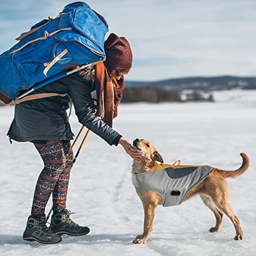TZL Manteau d'hiver pour Chien,Veste Chaude et Coupe-Vent pour Chien,Veste de Ski pour Chien avec Lumière LED,Gilet d'hiver pour Chien à Taille Ajustable,Convient pour Petit Moyen Grand Chiens