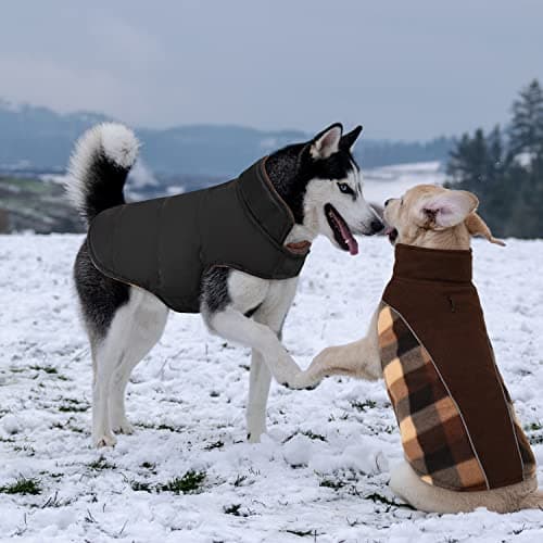 CITÉTOILE Manteau Chien Coupe-Vent, Manteau Veste pour Chien d'hiver Réversible, Veste vêtement d'hiver Chaud pour Chiens Petit Moyen Grand, Réfléchissants, Manteaux Polaire Chien, Marron, XS