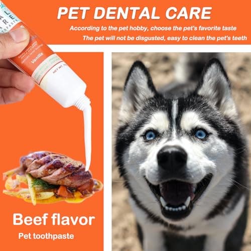 Brosse à Dents Et Dentifrice Pour Chien -Dentifrice à l'Arôme De Bœuf 75g, Brosse à Doigts Et Brosse à Dents à Poils Souples - Soins Dentaires Pour Chien Et Chat Contre La Mauvaise Haleine