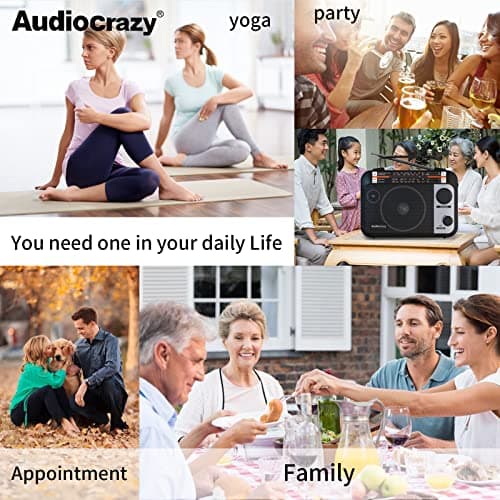 Audiocrazy Radio Portable FM/AM/SW1-2 Radio Multibande avec Batterie Rechargeable 1800 mAh, Câble AC Ou Radio FM Portable avec Piles, Haut-parleurs, Prise Casque, Entrée AUX Noir