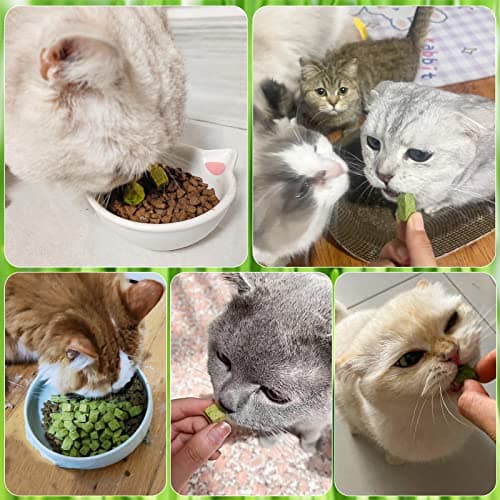 Collations pour Chats Herbe à Chat, 60g Snack pour Chat Lyophilisé pour Le Nettoyage des Dents