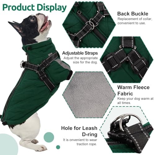 CITÉTOILE Manteau Chaud pour Chien, Veste Coupe-Vent pour Chien par Temps Froid, vêtement d'hiver pour Chien avec Fermetures éclair et Poignets Amples, Verte, XS