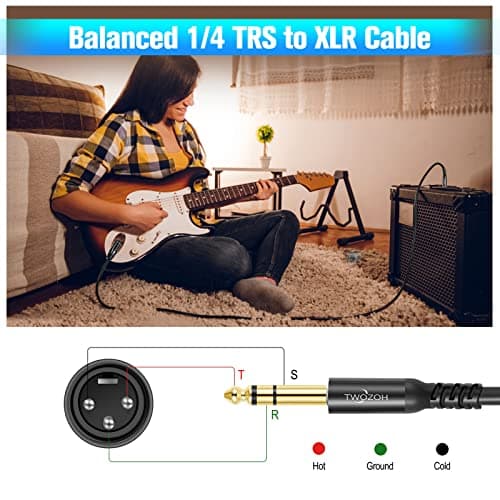 Twozoh Câble XLR Mâle vers TRS 6,35 mm Lot de 2, Cable XLR Jack Stéréo 6.35 mm 5M 2 Pièces (Profesional/Hifi)