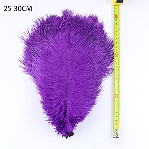 URFEDA Plumes Decoration, Lot de 10 Plumes d'autruche Naturelles Douces sans Odeur Piquante Plumes Naturelles Lot de 10 Plumes D'Autruche Naturelles pour décoration d’intérieur ou Mariage Violet
