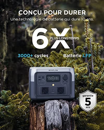 Station électrique portable ECOFLOW RIVER 2 MAX, batterie LiFeP04, 512 Wh charge rapide en 1 heure, sortie 1000 W avec X-boost, générateur solaire pour extérieur, camping-cars,domestique,balcon
