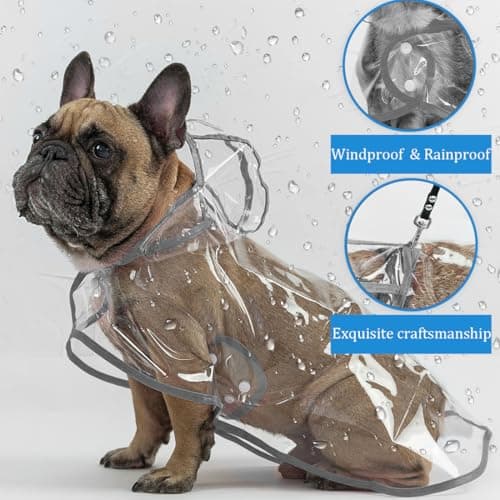 Imperméable pour Chien, Imperméable pour Chien avec Capuche en Nylon Transparent, Manteau imperméable pour chiens de petite taille et chats, réglable, avec capuche, transparent, M
