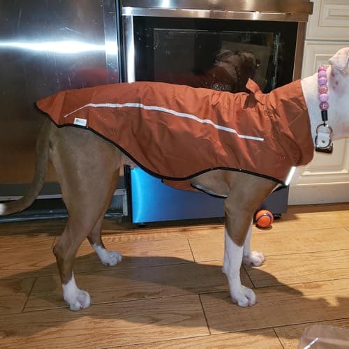 Mile High Life | Imperméable pour Chien | Vêtements pour Animaux de Compagnie Ajustables et Waterproof | Veste de Pluie Légère avec Bande Réfléchissante | Facile à Enfiler (Marron, S)