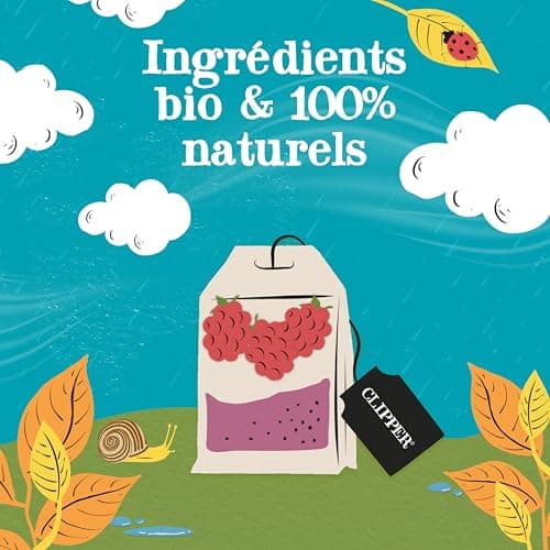 CLIPPER - Infusion Bio Détox - Saveur Fruits Rouges - 20 Sachets d'Infusion Bio - 1 paquet