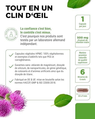 Extrait de chardon-Marie 180 gélules de 500 mg chacune - 80% de silymarine - 6 mois d'approvisionnement - Testé en laboratoire (teneur en ingrédients actifs et pureté) - Hautement dosé - Végétalien