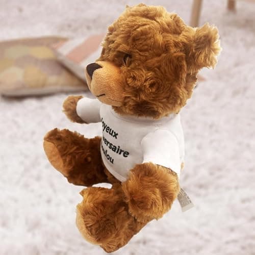 Ourson en peluche personnalisable – Ajoutez votre message | Cadeau original pour Fête des Mères, Fête des Pères, Noël, Anniversaire | 20 cm (Message au choix)