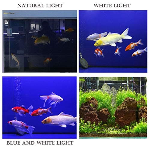 BPS Lampe LED à clip étanche et submersible pour aquarium pour éclairage de plantes Blanc/bleu 1w 20cm